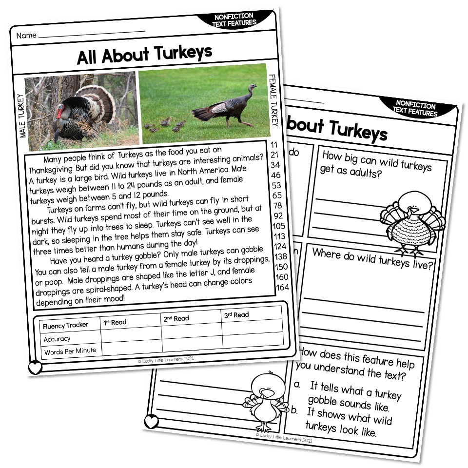2nd Grade Nonfiction Text Features Reading Passage All About 