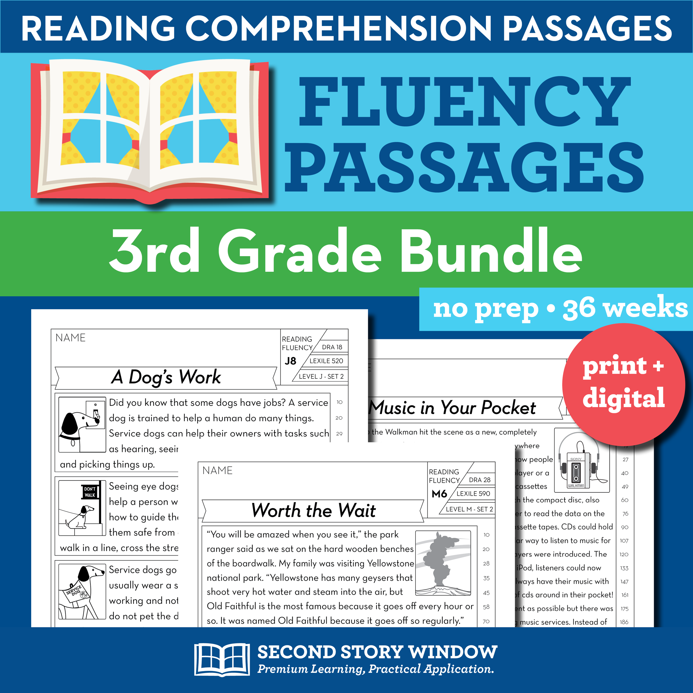 Reading Comprehension Worksheet 3rd Grade