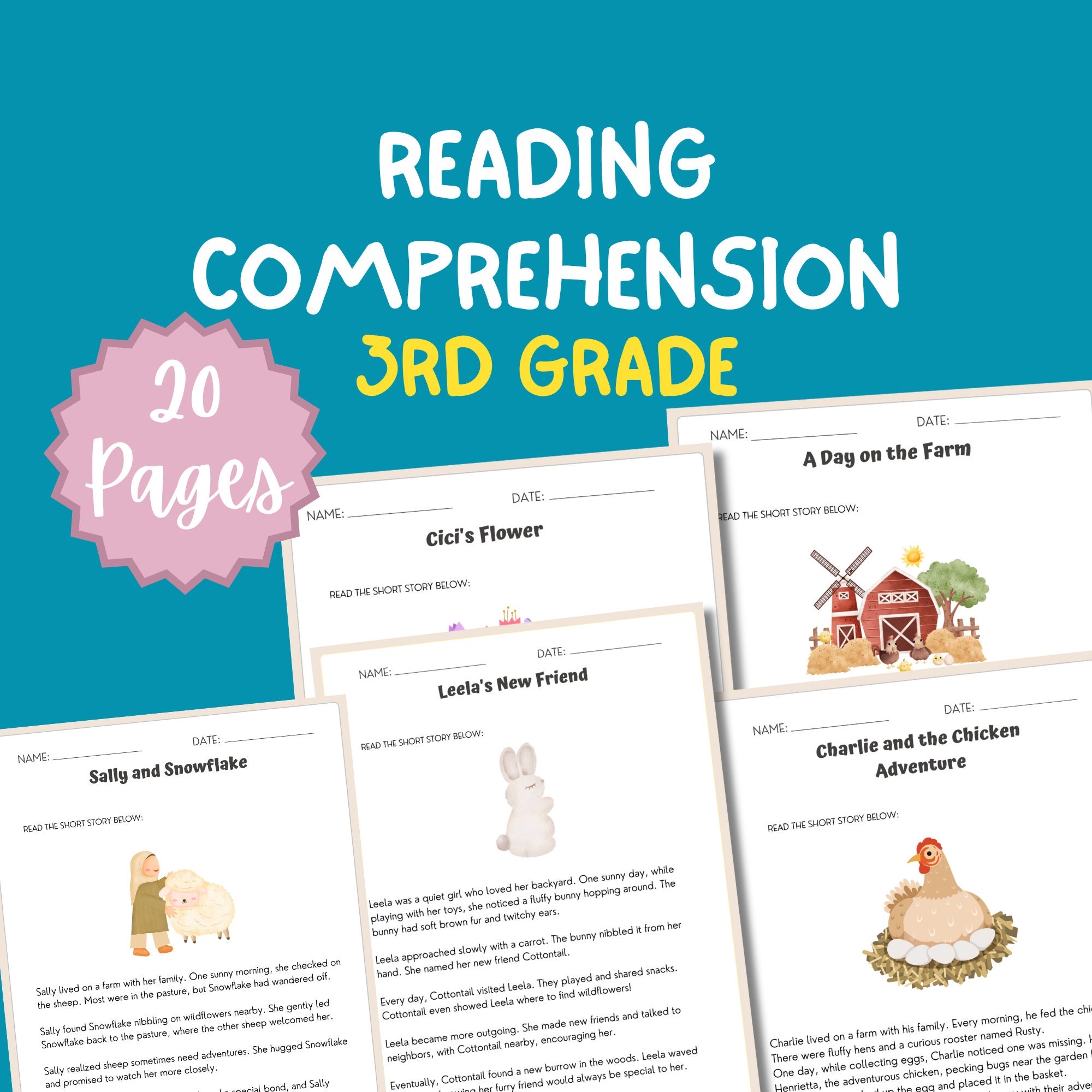 Reading Comprehension Worksheets 3rd