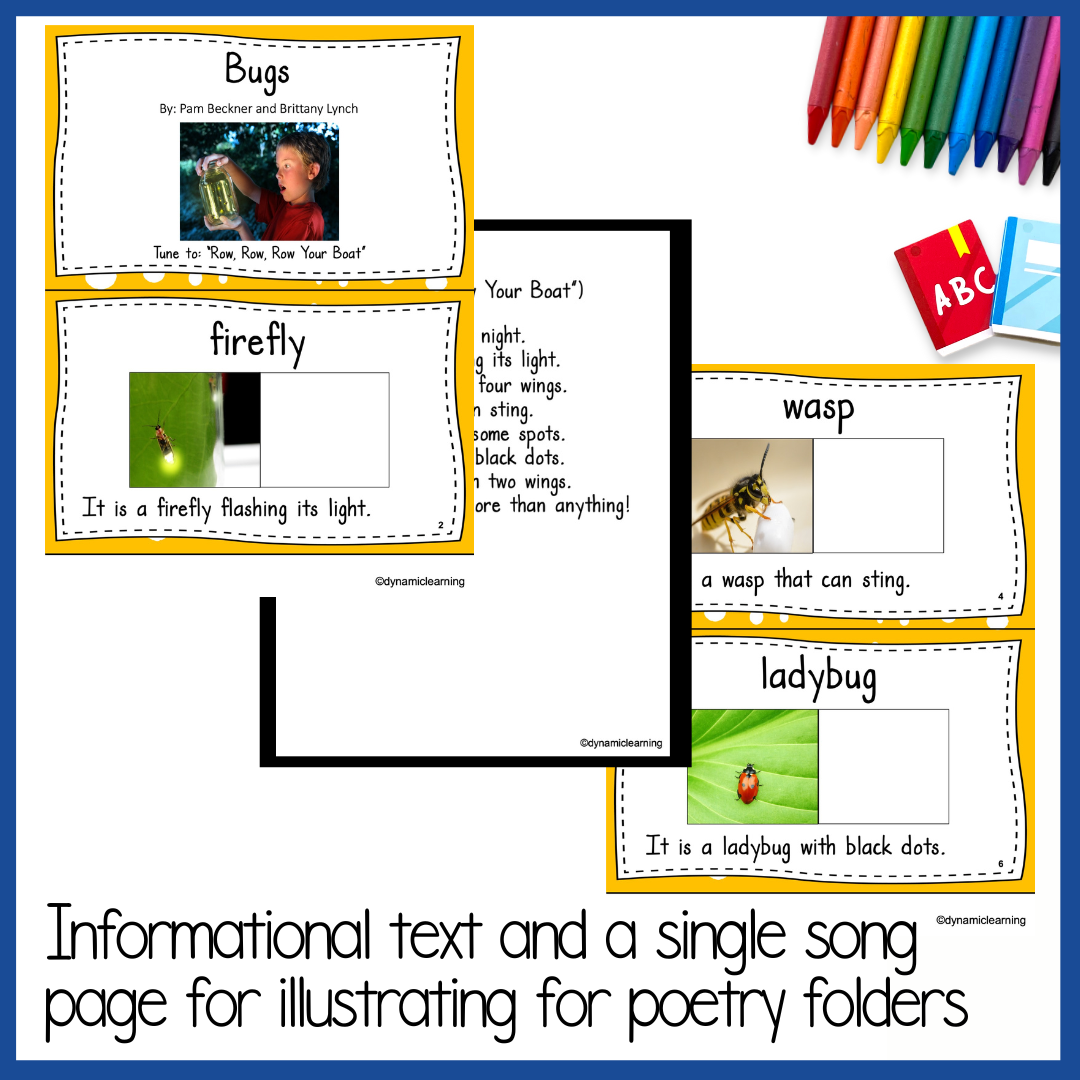 Bugs And Insects Reading Comprehension Activities With Worksheets Dynamic Learning