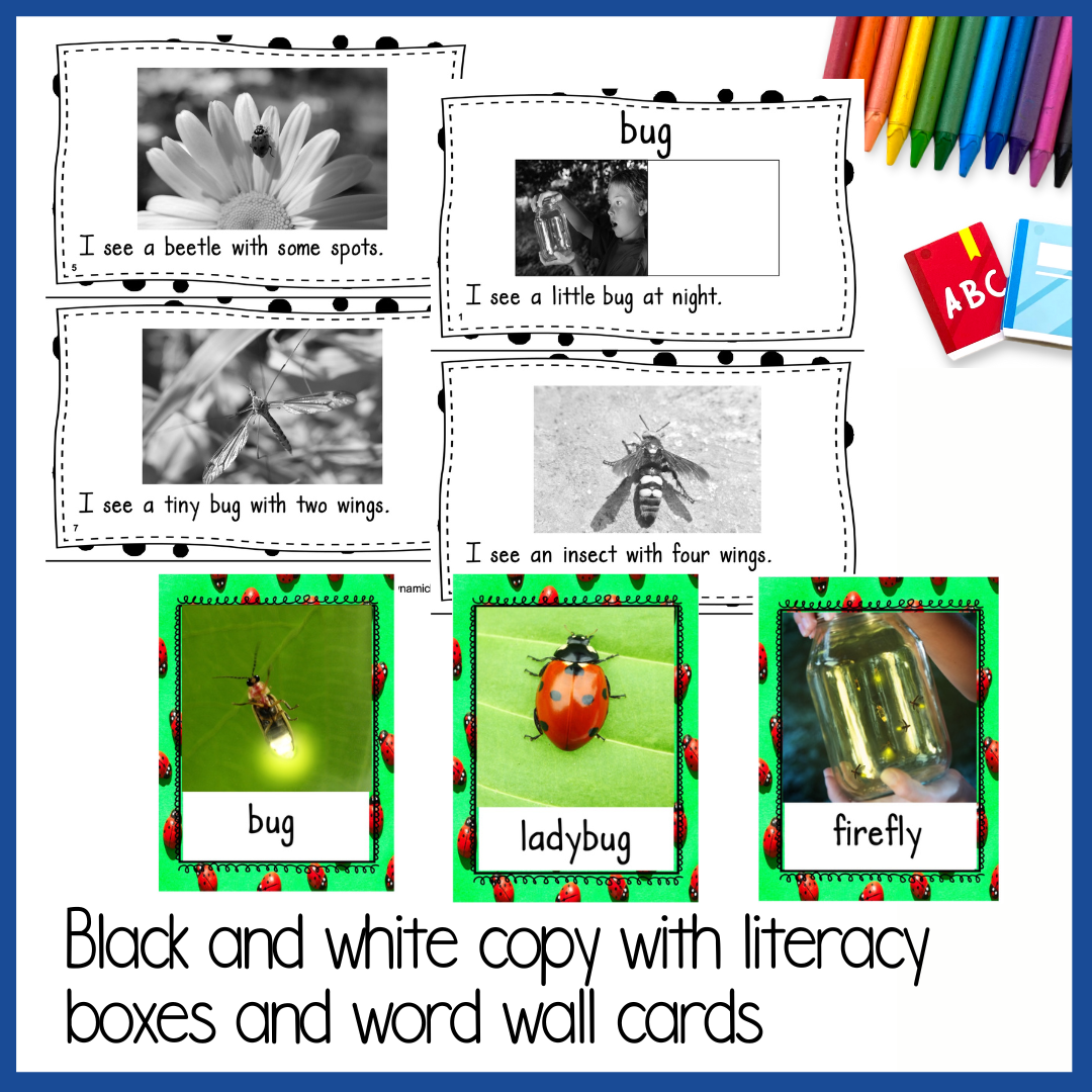 Bugs And Insects Reading Comprehension Activities With Worksheets Dynamic Learning