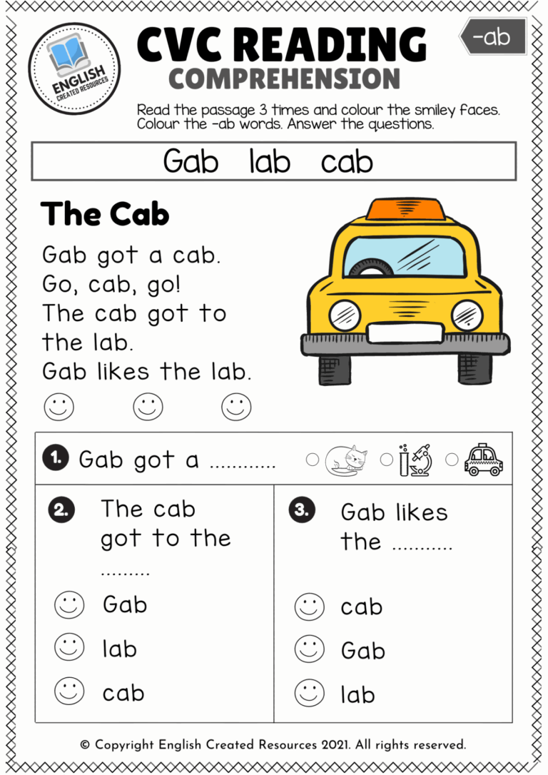 CVC Words Reading Comprehension English Created Resources