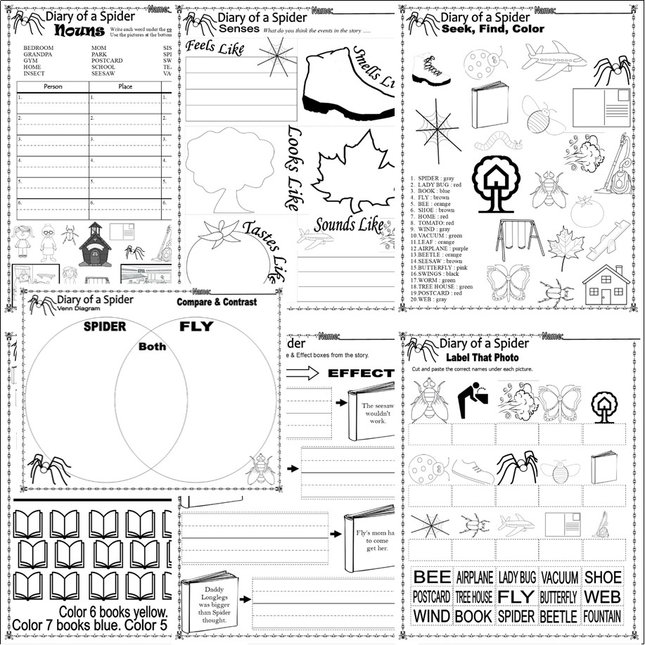 Spider Reading Comprehension Worksheet