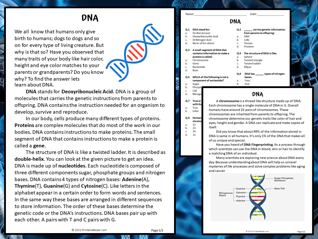 DNA Reading Comprehension Passage And Questions PDF Teaching 
