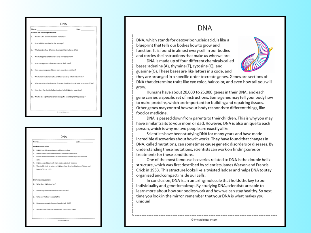 DNA Reading Comprehension Passage Printable Worksheet Teaching 