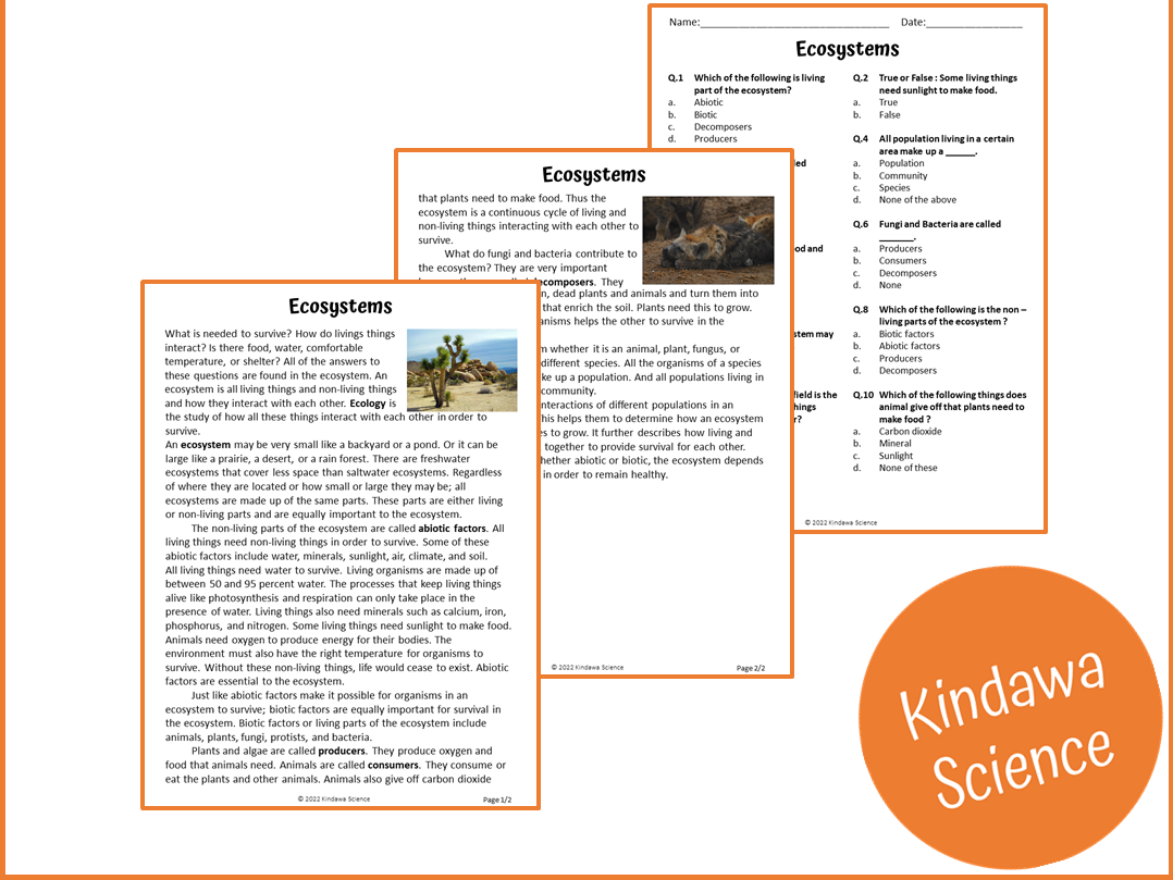 Ecosystems Reading Comprehension Passage And Questions PDF Teaching Resources