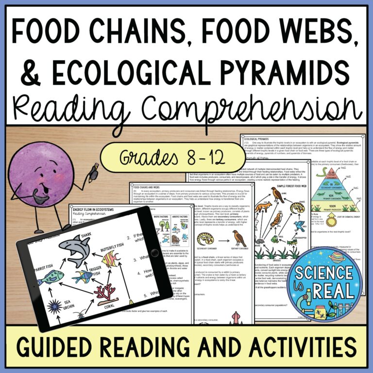 Food Chains Food Webs And Energy Pyramids Reading Comprehension Worksheets Classful