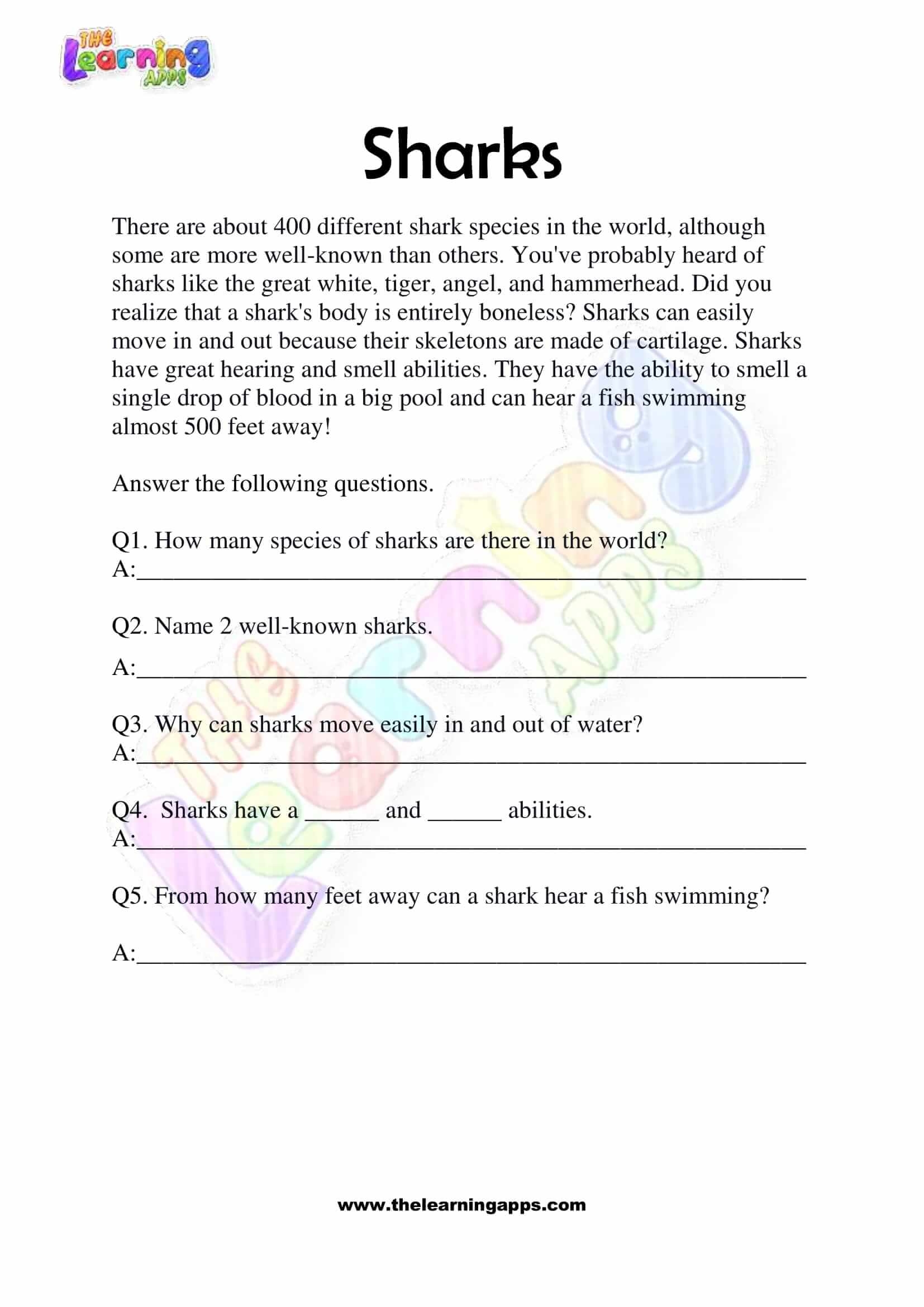 Printable Free Shark Reading Comprehension Worksheets