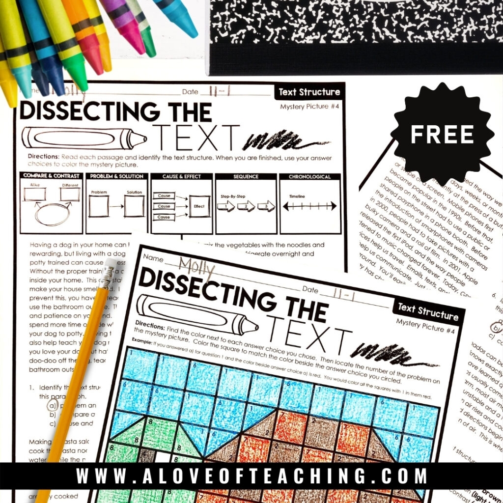 FREE Reading Comprehension Practice Worksheets A Love Of Teaching Kim Miller