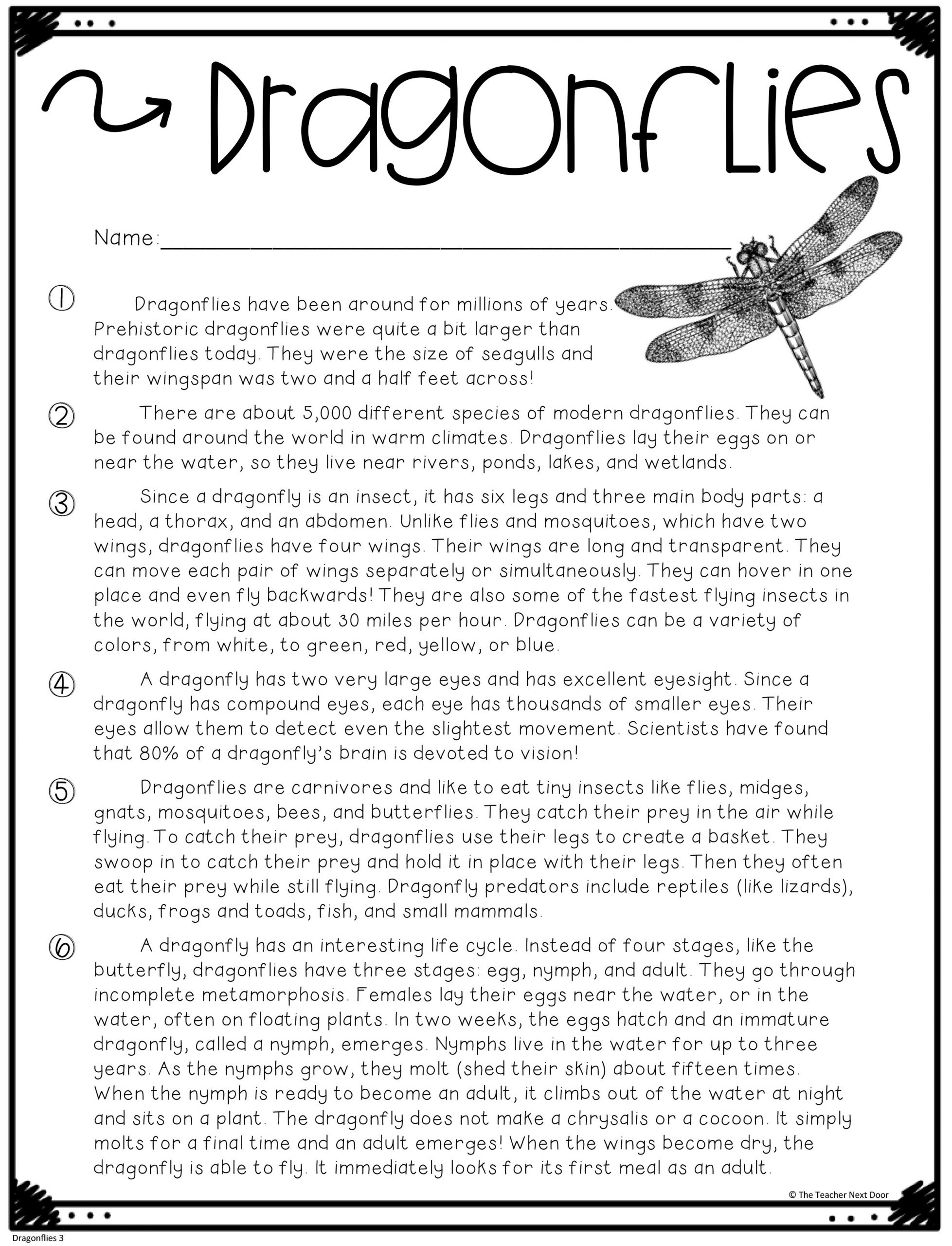 FREE Text Evidence Color Coding Passage Print And Digital The Teacher Next Door