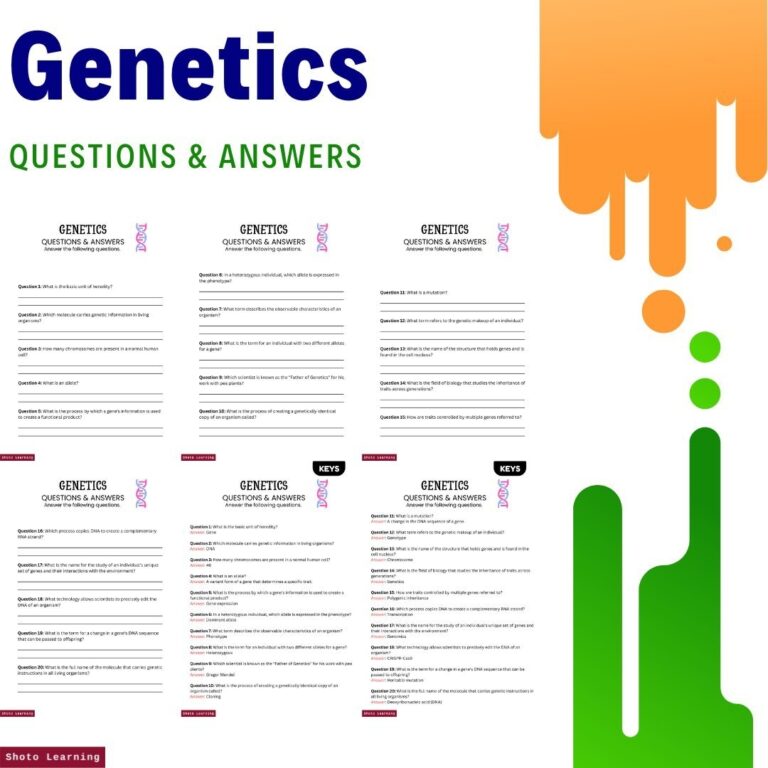 Genetics Worksheet Bundle 10 Fun U0026 Educational Worksheets