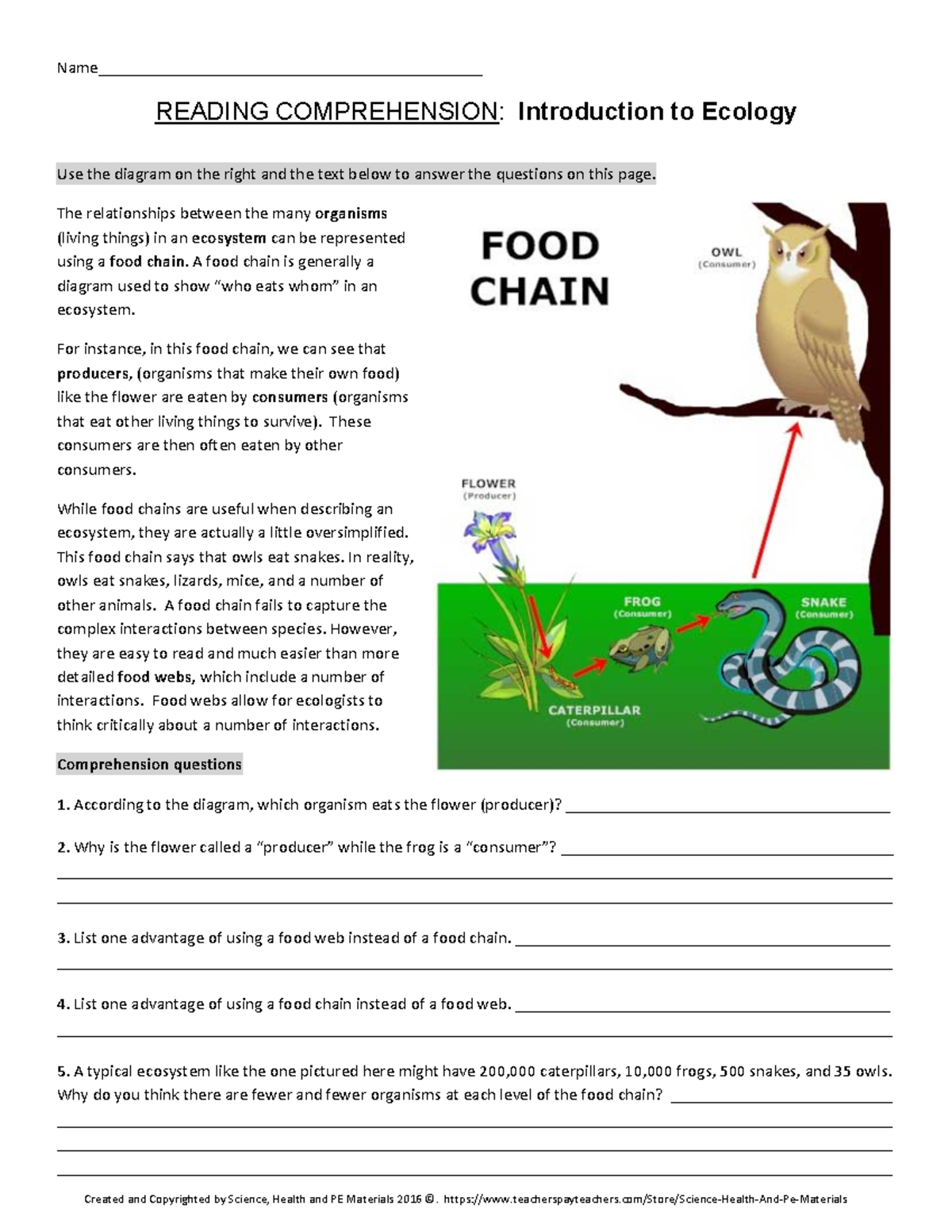 Food Web Reading Comprehension Worksheet