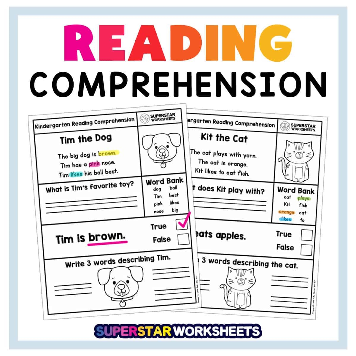 Reading Comprehension Worksheets For Esl Students