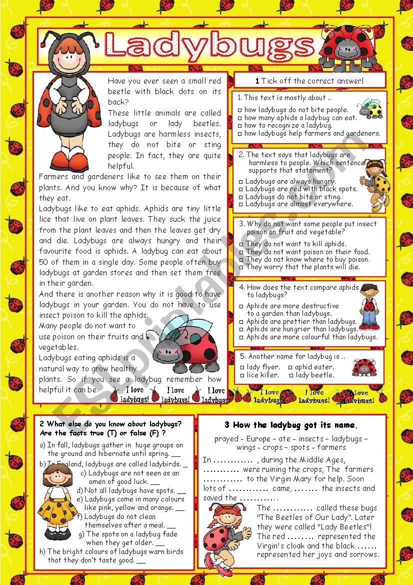 Ladybugs key ESL Worksheet By Regina ze