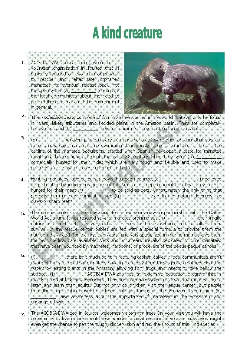 MANATEES ESL Worksheet By Stellita