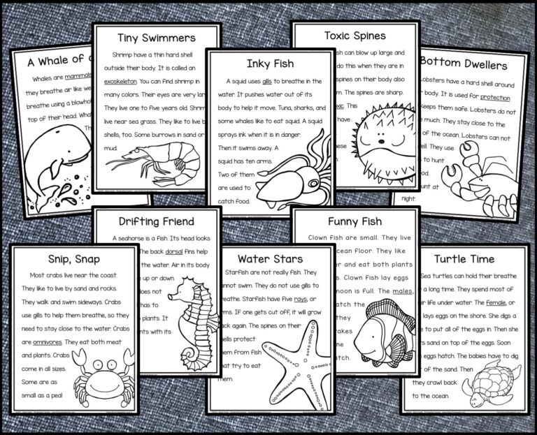 Ocean Themed Reading Comprehension Pack Plus A FREE DOWNLOAD The