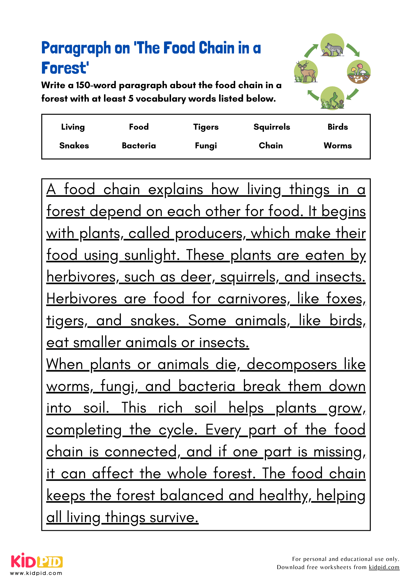 Paragraph On The Food Chain In A Forest Kidpid