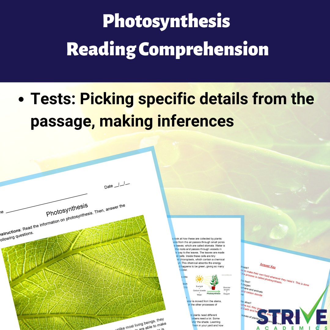 Photosynthesis English Reading Comprehension Worksheet Payhip