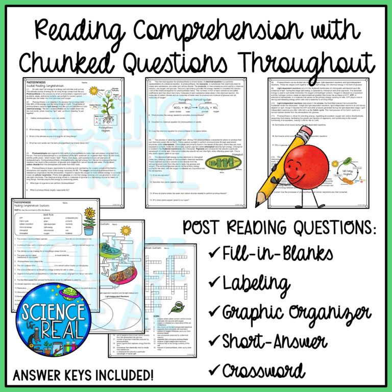 Photosynthesis Reading Comprehension And Activities Classful
