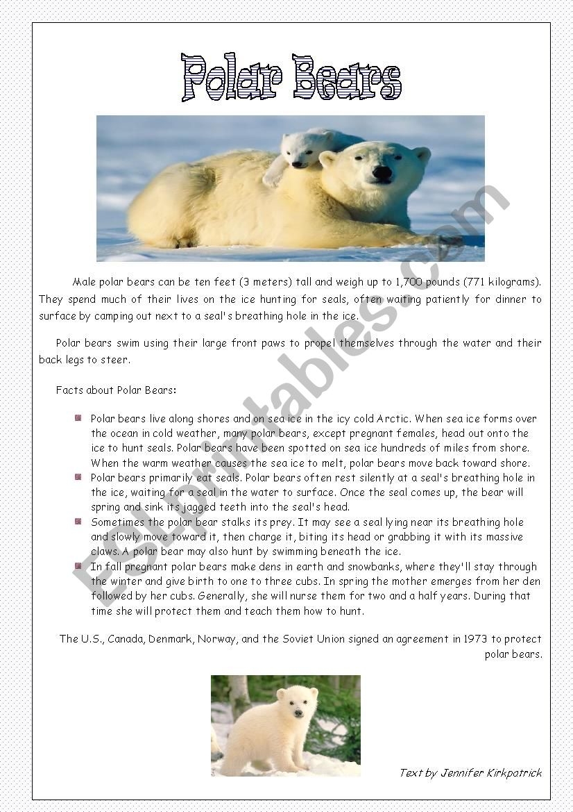 Polar Bears Nice Reading Comprehension ESL Worksheet By Jessisun