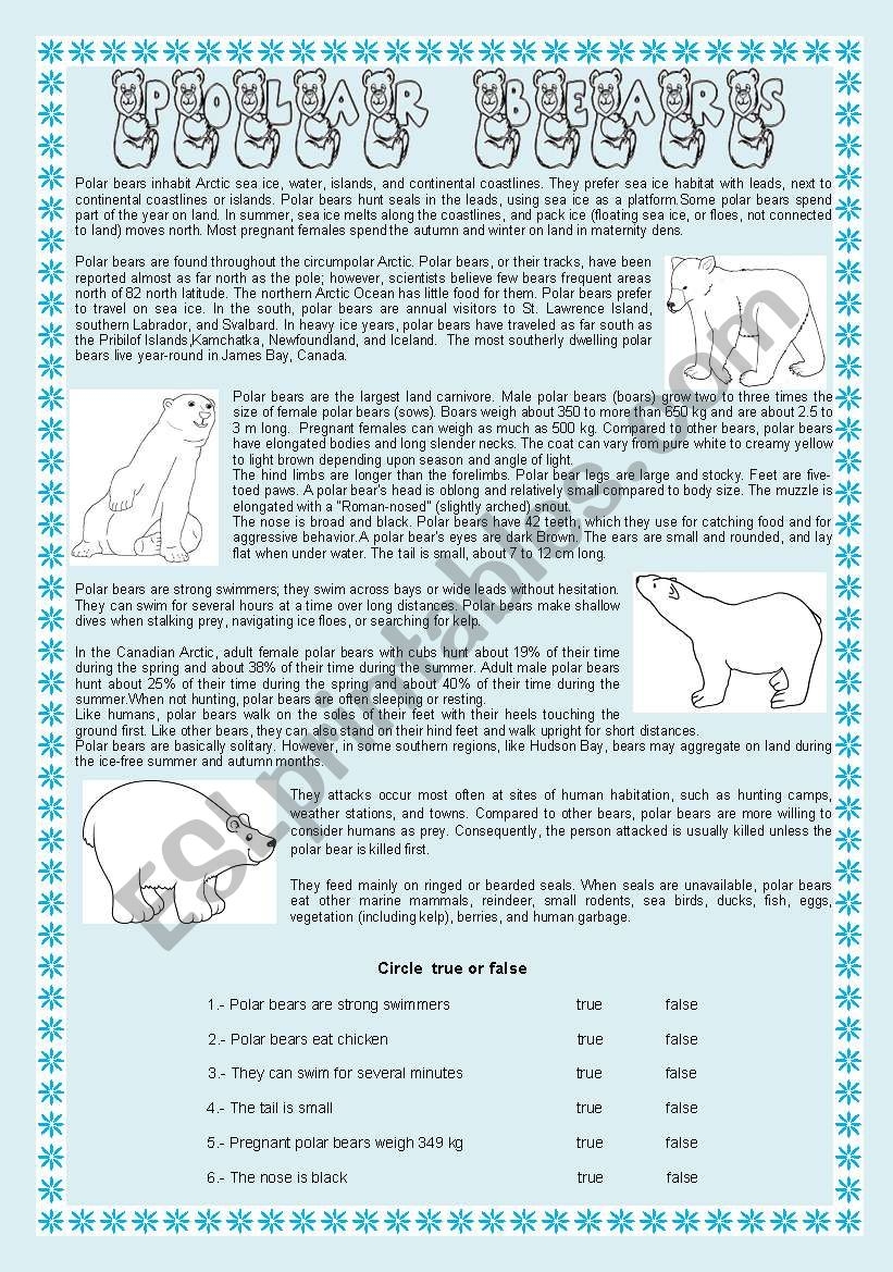 Polar Bear Reading Comprehension Worksheets