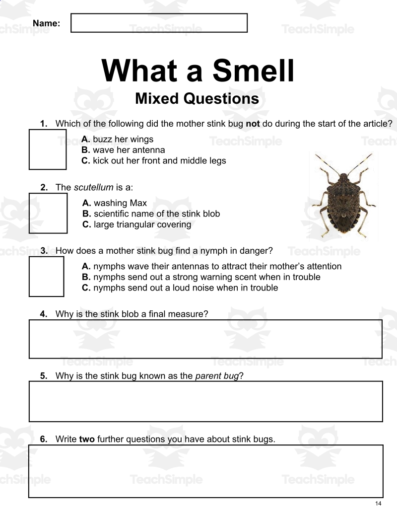 Reading Comprehension Nonfiction Set 2 Insects PDF By Teach Simple