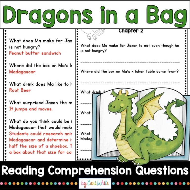 Reading Comprehension Questions Dragons In A Bag