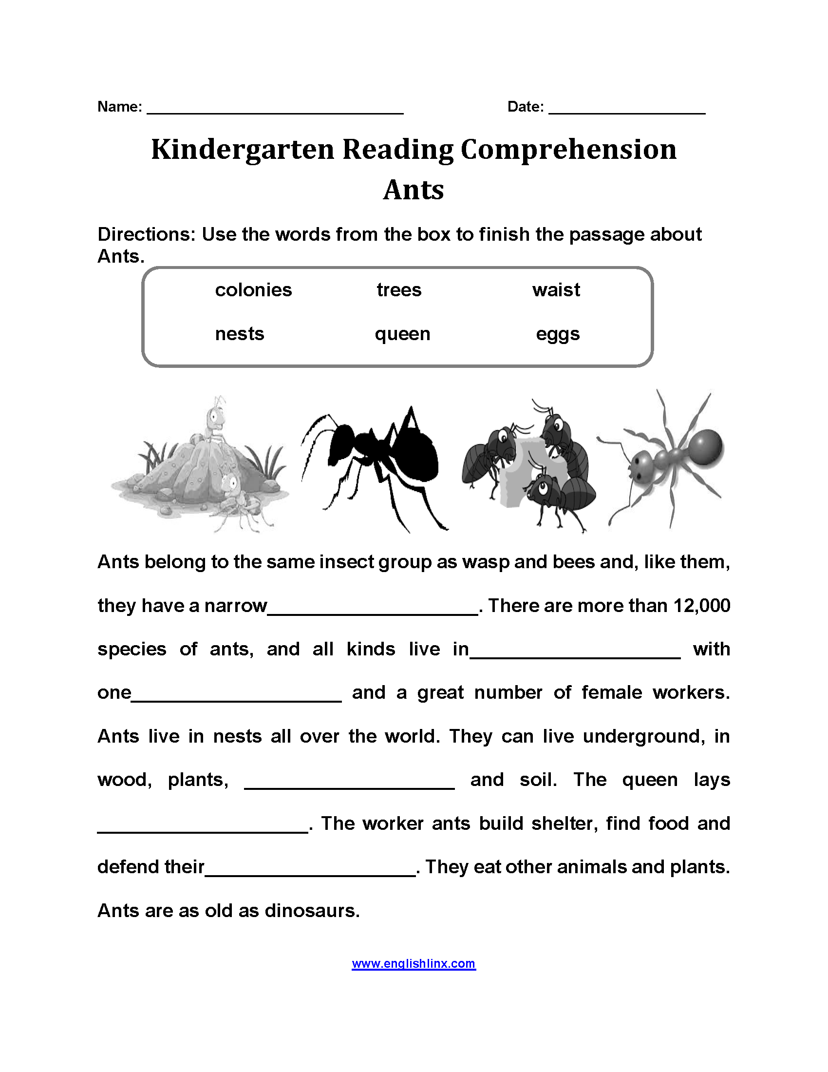 Insect Reading Comprehension Worksheets Pdf