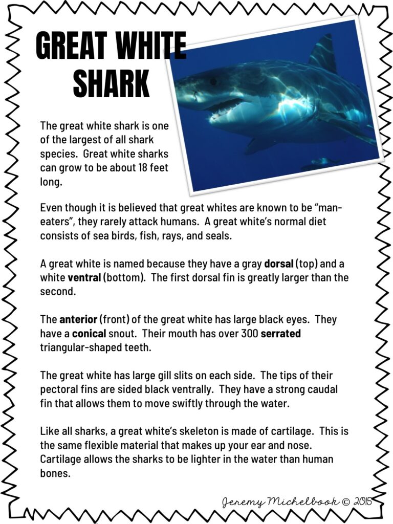 Shark Week Close Reads Classful