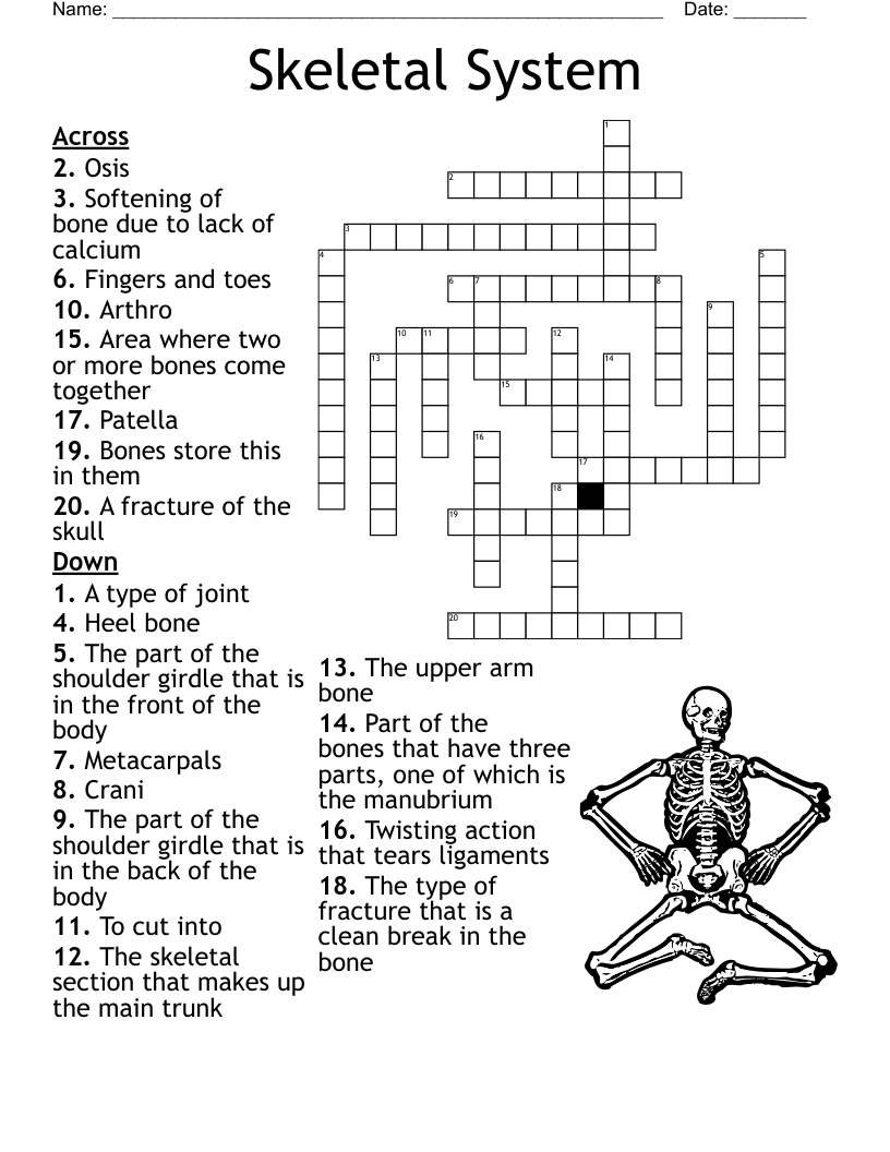 Skeletal System Reading Comprehension Worksheet Pdf