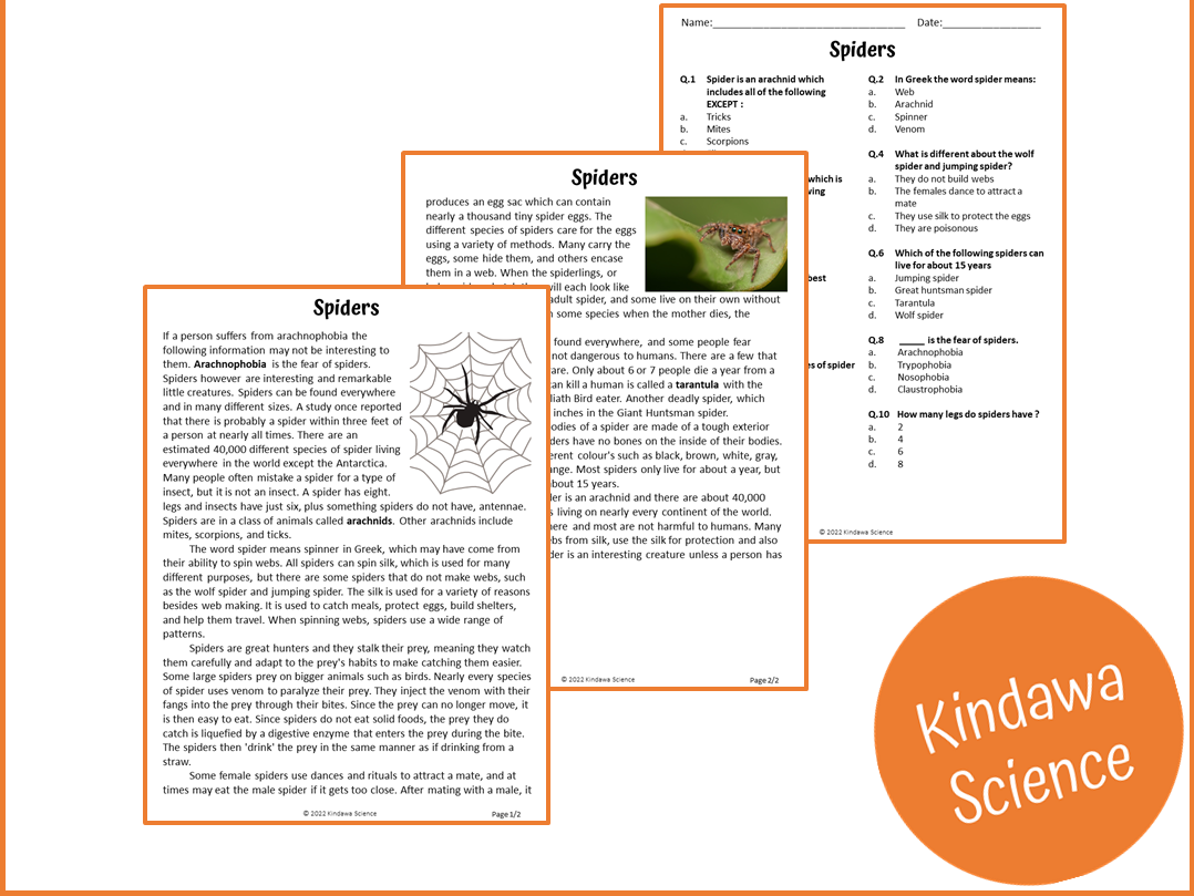 Spiders Reading Comprehension Worksheets