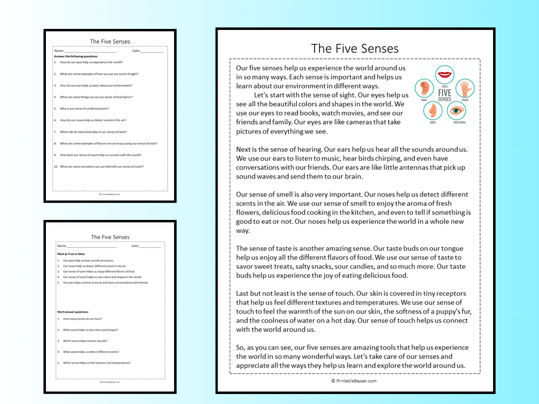 The Five Senses Reading Comprehension Passage Printable Worksheet Teaching Resources