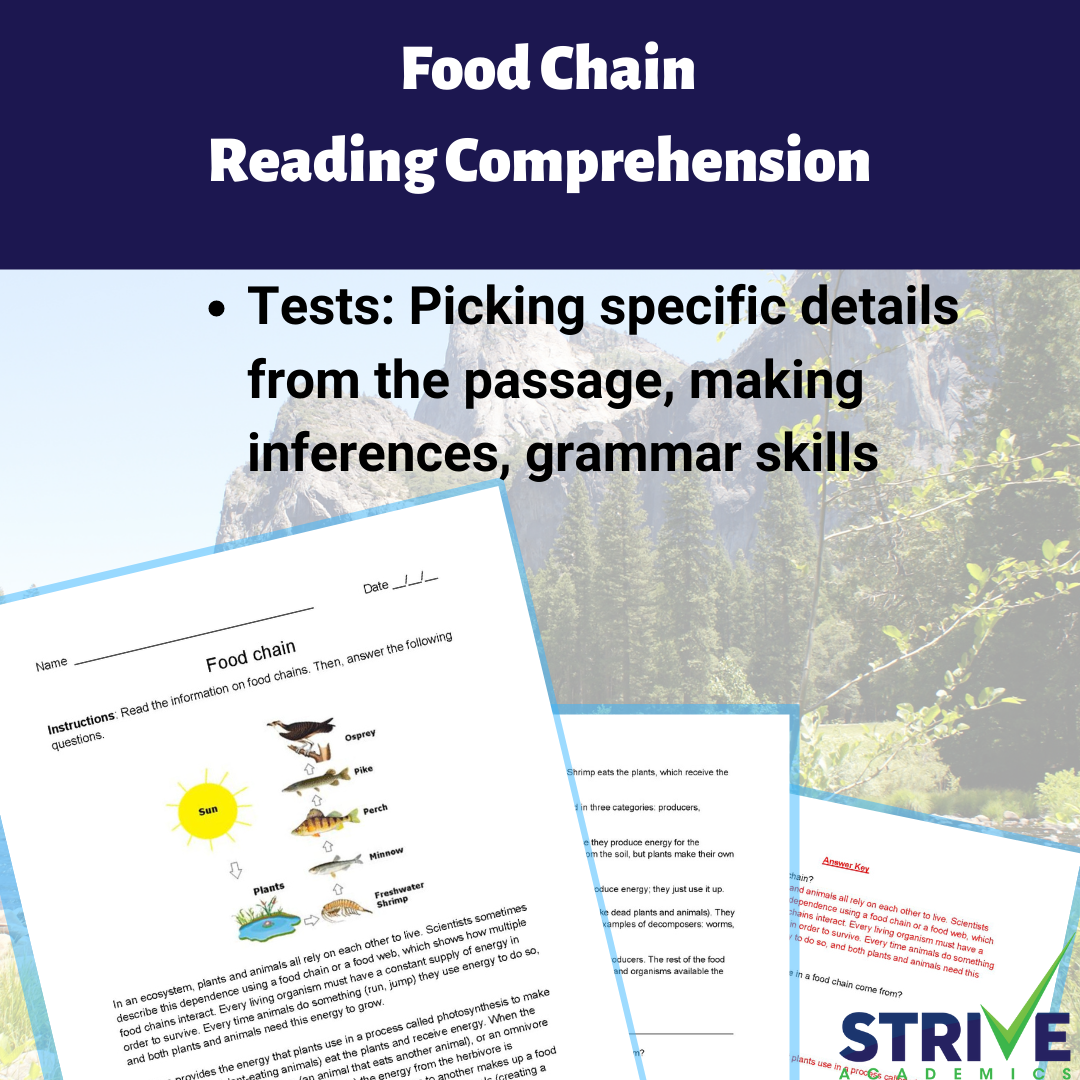 The Food Chain English Reading Comprehension Worksheet Classful