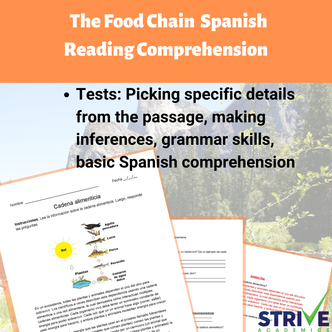Food Chain Reading Comprehension Worksheet