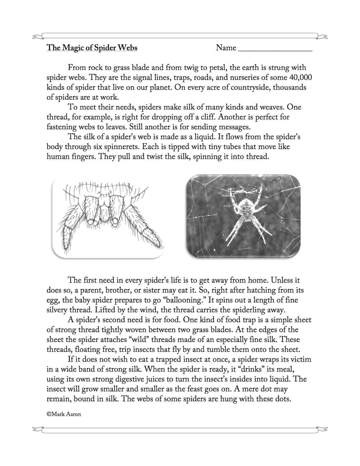 The Magic Of Spider Webs Reading Comprehension Passage And 