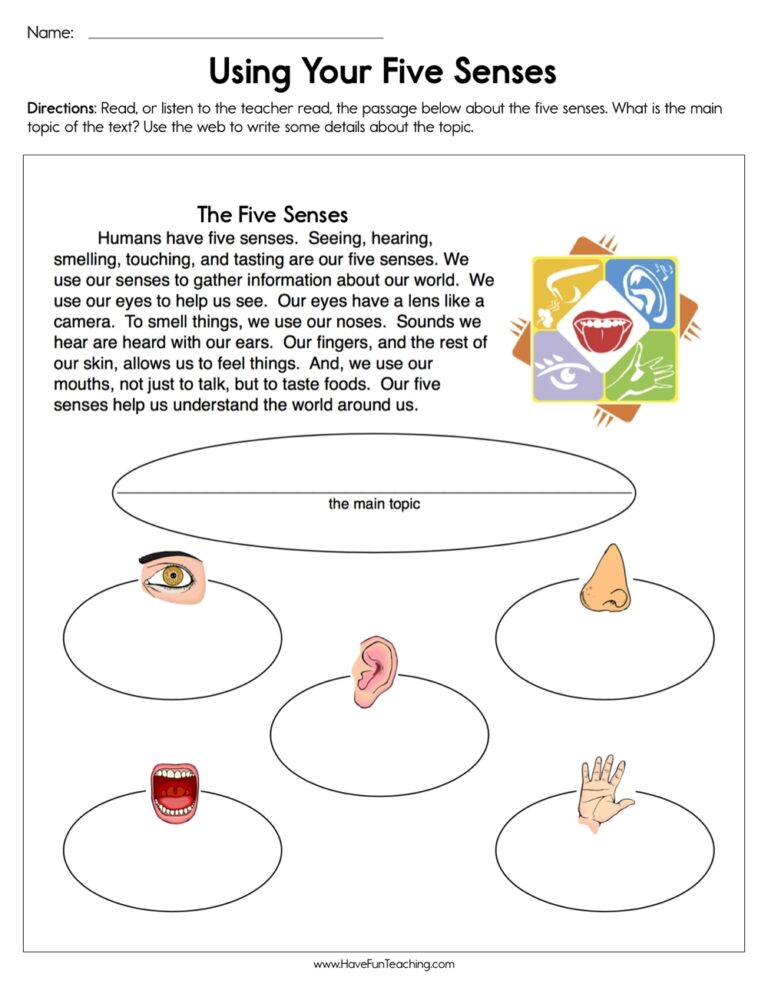 Using Your Five Senses Worksheet Have Fun Teaching