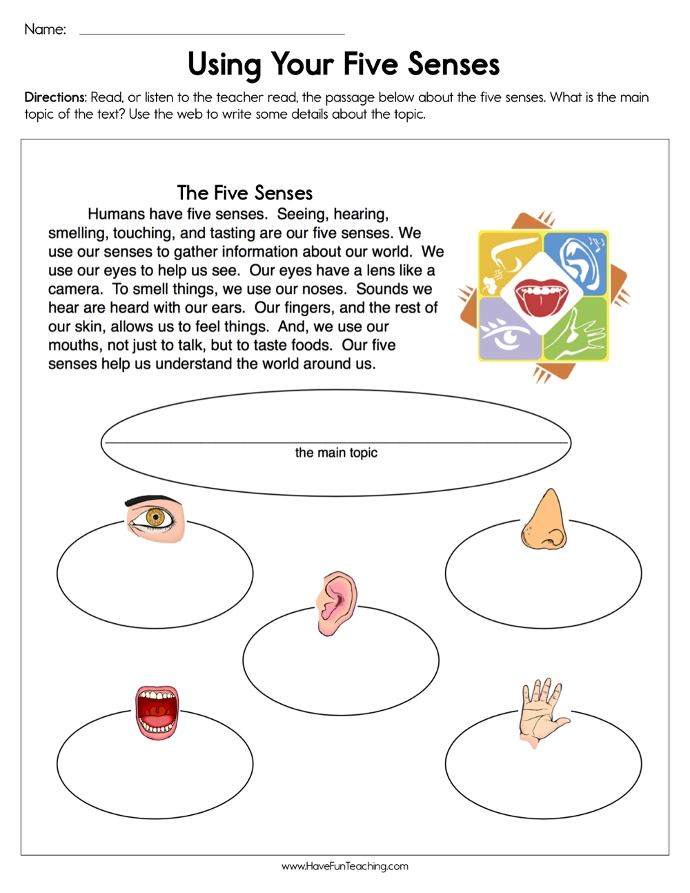 Using Your Five Senses Worksheet Have Fun Teaching