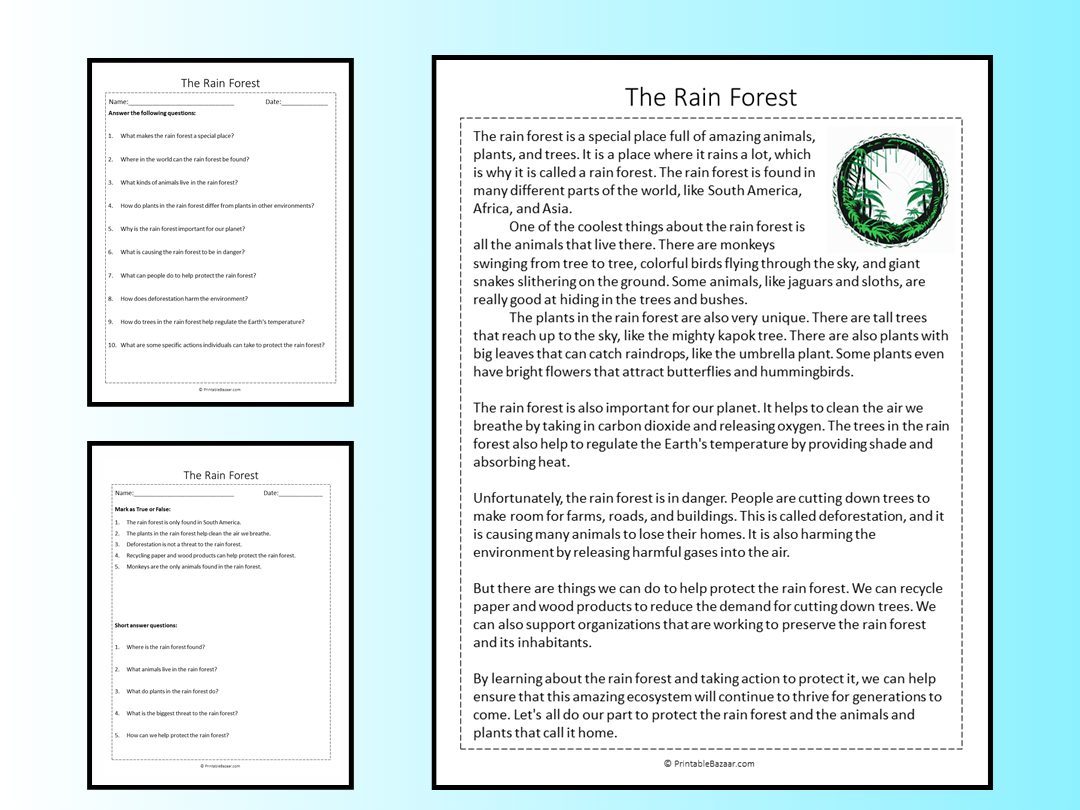 Weather Reading Comprehension With Reading Wholesale Writing
